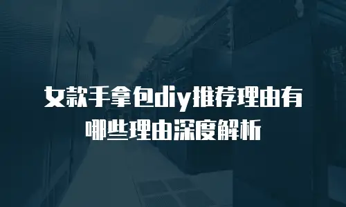 女款手拿包diy推荐理由有哪些理由深度解析