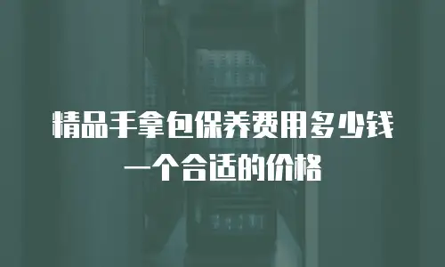 精品手拿包保养费用多少钱一个合适的价格