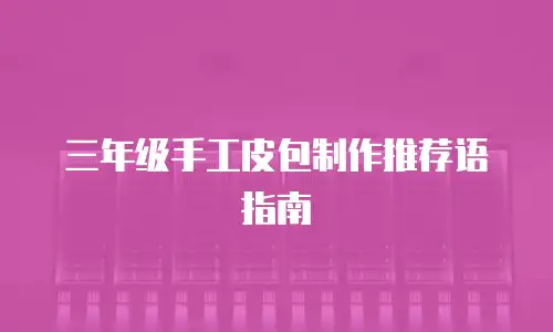 三年级手工皮包制作推荐语指南