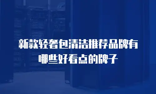 新款轻奢包清洁推荐品牌有哪些好看点的牌子
