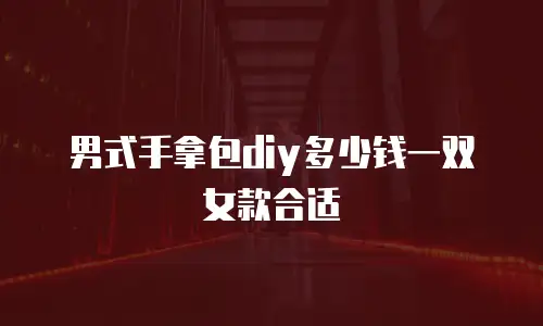 男式手拿包diy多少钱一双女款合适