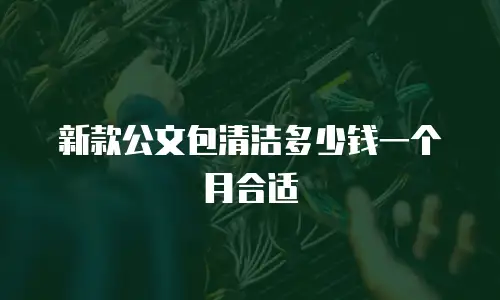 新款公文包清洁多少钱一个月合适