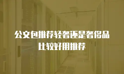 公文包推荐轻奢还是奢侈品比较好用推荐