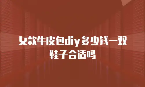 女款牛皮包diy多少钱一双鞋子合适吗