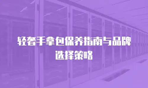 轻奢手拿包保养指南与品牌选择策略