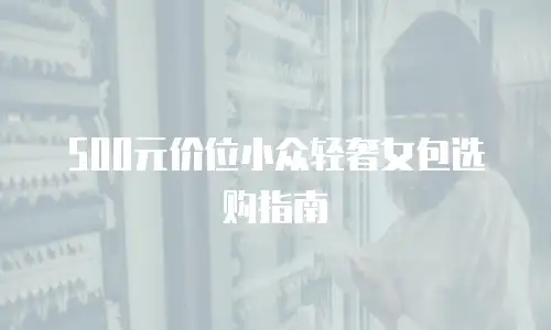 500元价位小众轻奢女包选购指南