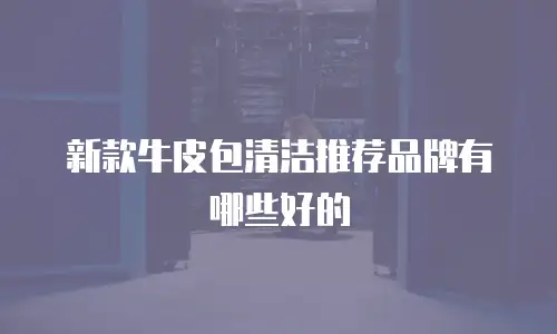 新款牛皮包清洁推荐品牌有哪些好的