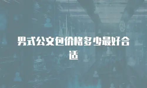 男式公文包价格多少最好合适