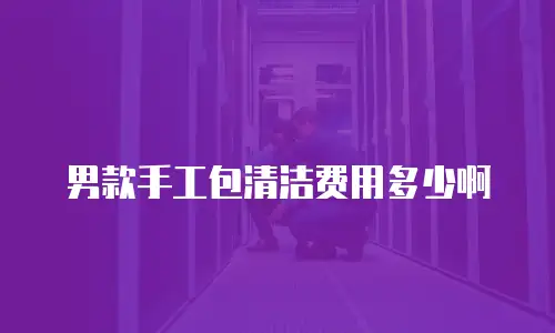 男款手工包清洁费用多少啊