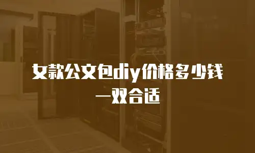 女款公文包diy价格多少钱一双合适