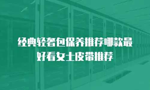 经典轻奢包保养推荐哪款最好看女士皮带推荐
