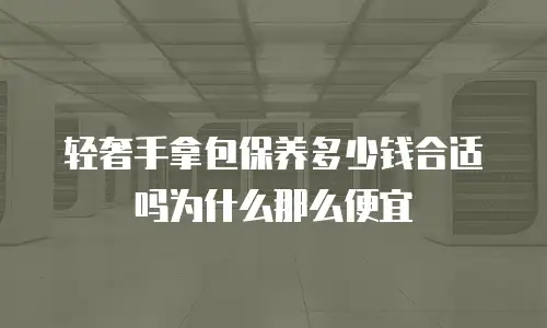轻奢手拿包保养多少钱合适吗为什么那么便宜