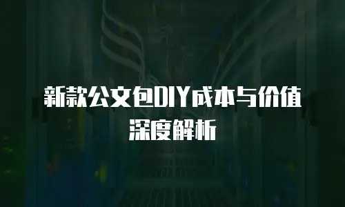新款公文包DIY成本与价值深度解析
