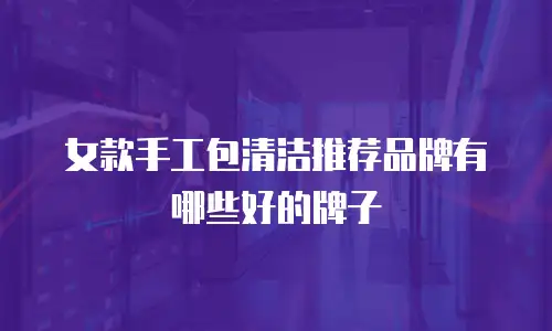 女款手工包清洁推荐品牌有哪些好的牌子