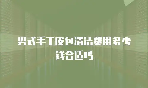 男式手工皮包清洁费用多少钱合适吗