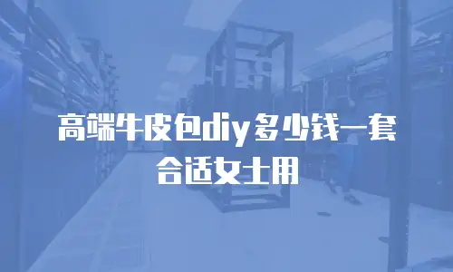 高端牛皮包diy多少钱一套合适女士用