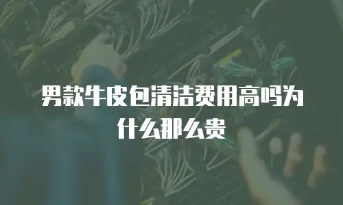 男款牛皮包清洁费用高吗为什么那么贵
