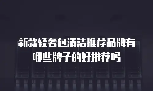 新款轻奢包清洁推荐品牌有哪些牌子的好推荐吗