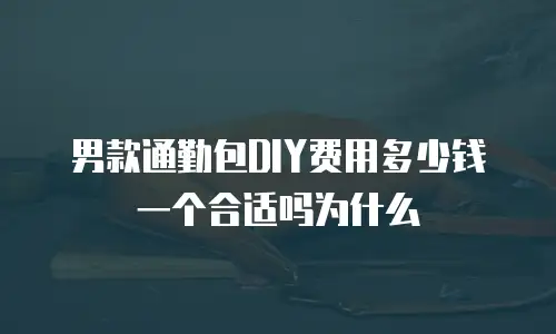 男款通勤包DIY费用多少钱一个合适吗为什么
