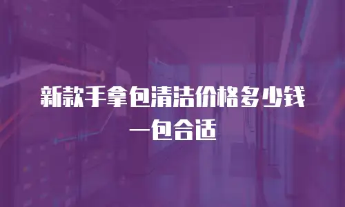 新款手拿包清洁价格多少钱一包合适