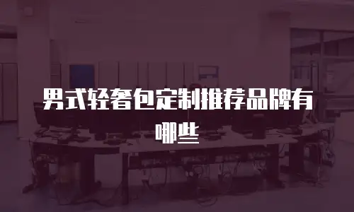 男式轻奢包定制推荐品牌有哪些