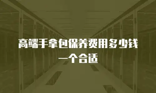 高端手拿包保养费用多少钱一个合适