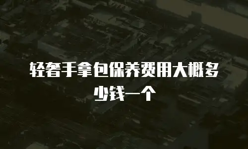 轻奢手拿包保养费用大概多少钱一个