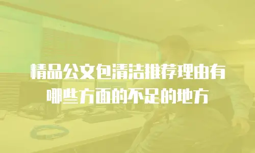 精品公文包清洁推荐理由有哪些方面的不足的地方