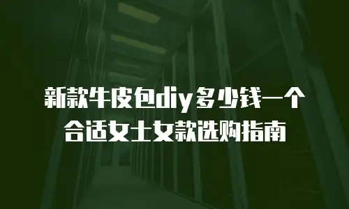 新款牛皮包diy多少钱一个合适女士女款选购指南