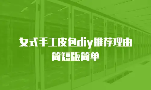 女式手工皮包diy推荐理由简短版简单
