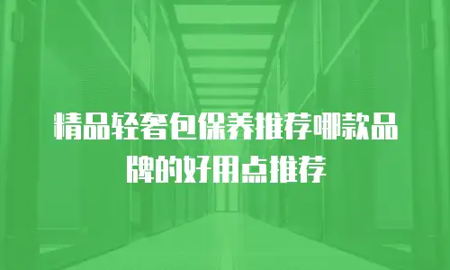 精品轻奢包保养推荐哪款品牌的好用点推荐