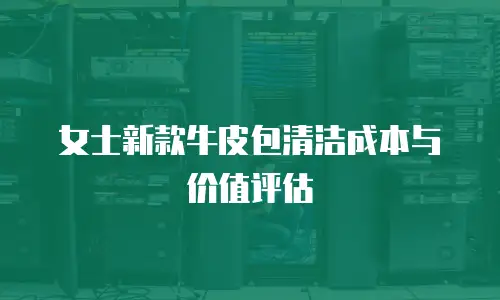 女士新款牛皮包清洁成本与价值评估