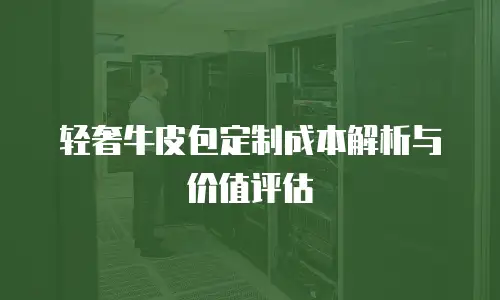 轻奢牛皮包定制成本解析与价值评估