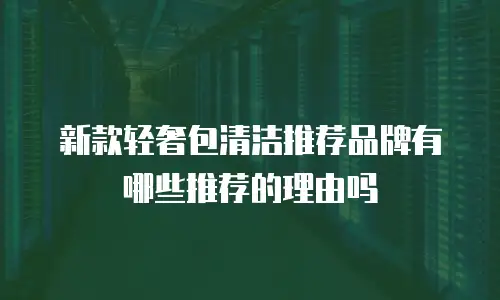 新款轻奢包清洁推荐品牌有哪些推荐的理由吗