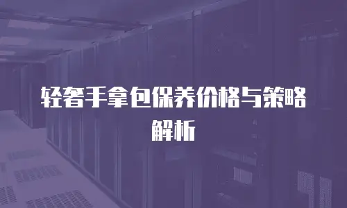 轻奢手拿包保养价格与策略解析