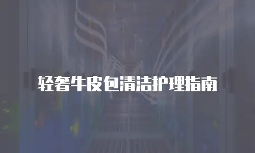 轻奢牛皮包清洁护理指南