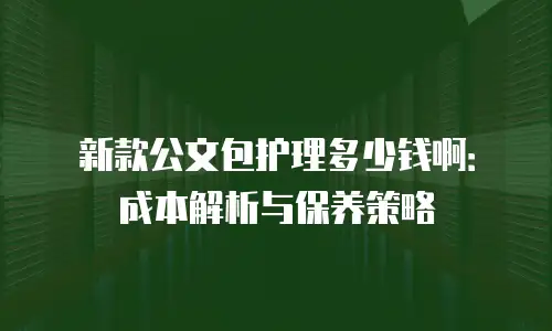 新款公文包护理多少钱啊：成本解析与保养策略