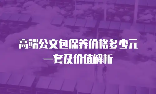 高端公文包保养价格多少元一套及价值解析