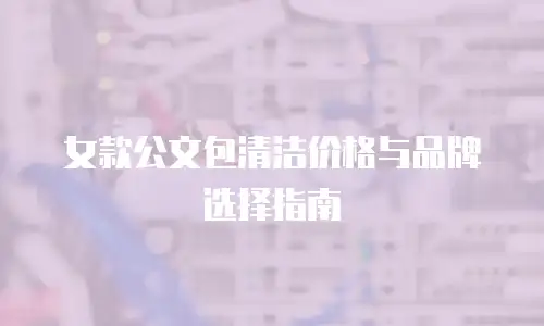 女款公文包清洁价格与品牌选择指南