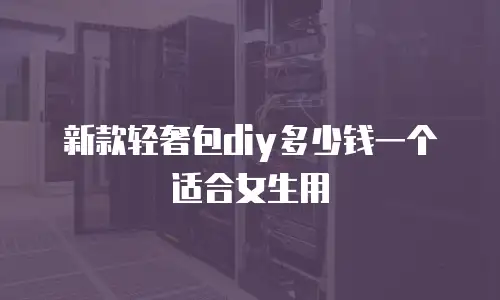 新款轻奢包diy多少钱一个适合女生用