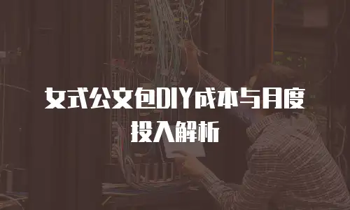 女式公文包DIY成本与月度投入解析