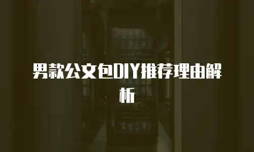 男款公文包DIY推荐理由解析