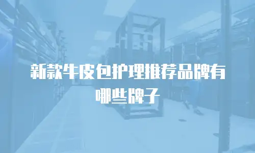 新款牛皮包护理推荐品牌有哪些牌子