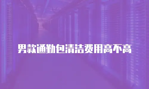 男款通勤包清洁费用高不高