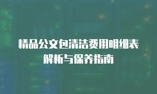 精品公文包清洁费用明细表解析与保养指南
