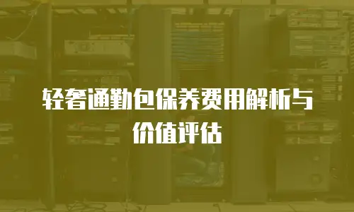 轻奢通勤包保养费用解析与价值评估