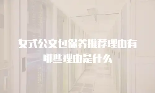女式公文包保养推荐理由有哪些理由是什么