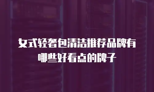 女式轻奢包清洁推荐品牌有哪些好看点的牌子