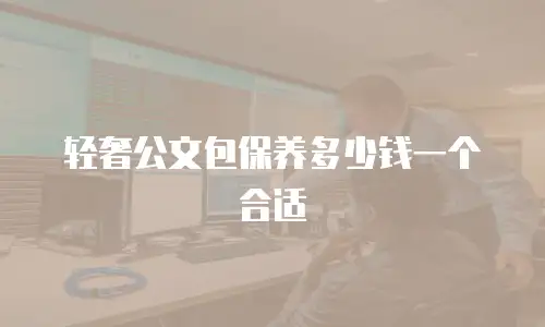 轻奢公文包保养多少钱一个合适