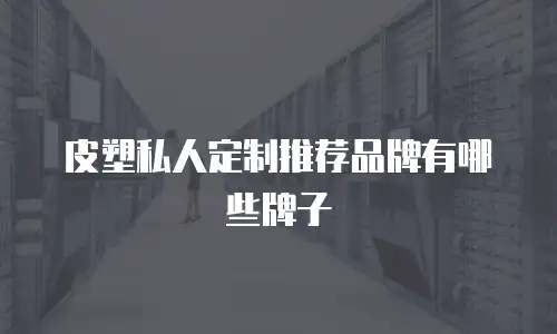 皮塑私人定制推荐品牌有哪些牌子